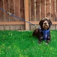 thumbnail image 2 of EzyDog Standard 24-Inch Rope Dog Leash Extension - Reflective Trim for Nighttime Safety - Add 2 for Walking 2 Dogs Tangle Free with Our Cujo Leashes (24â€, Pink Camo), 2 of 2