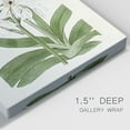 thumbnail image 3 of Flore Albo I Premium Gallery Wrapped Canvas - Ready to Hang, 3 of 9