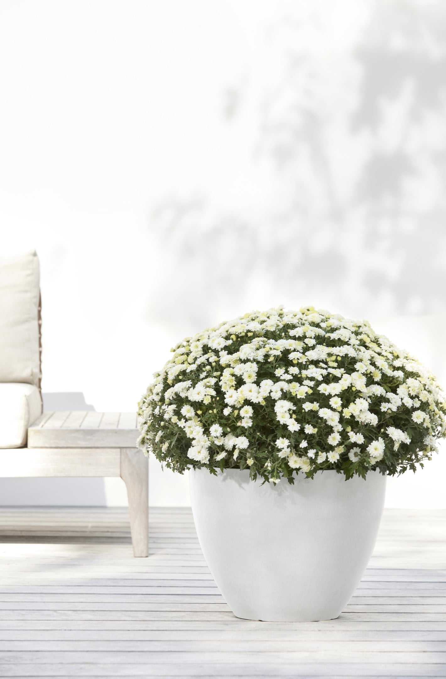 Ecopots Antwerp Durable Modern Round Indoor/Outdoor Recycled Based Composite Flower Pot Planter, Pure White, 16"