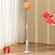 thumbnail image 5 of Saco de boxeo shamjiam con soporte pelota de boxeo de velocidad altura ajustable color naranja, 5 of 7