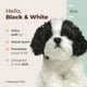 thumbnail image 2 of Perro de peluche Bearington, blanco y negro, 33 cm, 2 of 6