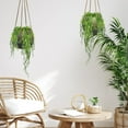 thumbnail image 3 of Danson Décor, Vigne de Feuilles de Thé Vert Artificielle, 3 of 3