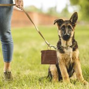 Treat Dog Treat Pouch Portable Canvas Dog Food Storage Bag Anti Lost Pet Training Snack Bag for Outdoor Travel
