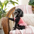 thumbnail image 5 of Vibrant Life, Dog Clothes, Salty and Sweet Tropics, Pet Dress, Pink, Medium, 5 of 5