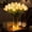 White, variant on Radiant Romantic Tulip Night Light with Vase, 15 PCS LED Artificial Flower Lamp, Bendable Adjustable Flower Stems, Soft Warm Glow Desk Lamp for Bedroom Bedside Decor