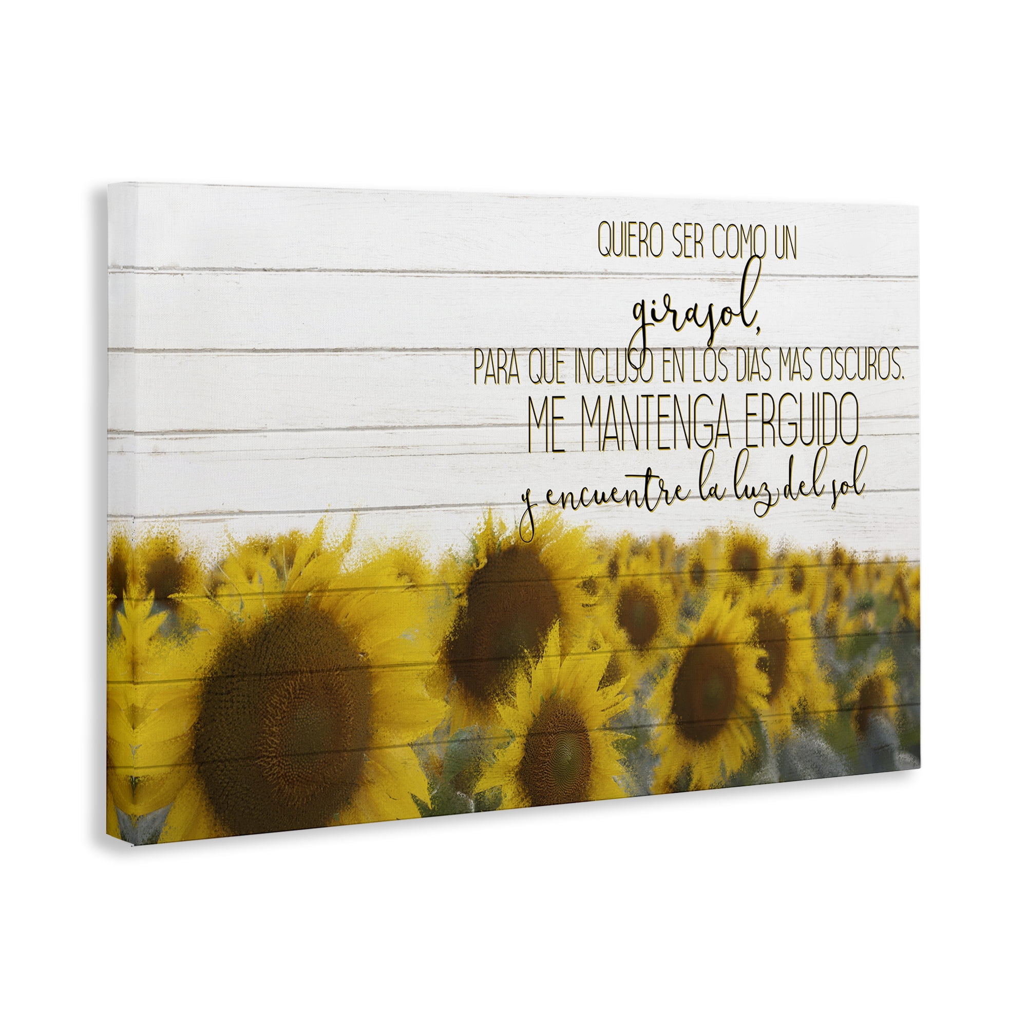 Stupell Industries Quiero Ser Como un Girasol Inspirational Quotes & Sayings Painting Wrapped Canvas Art Print Wall Art, 24 x 16