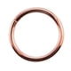 thumbnail image 1 of 1PC G23 Anillo de nariz de segmento con bisagras de titanio 16gamp; 14g Clicker de pezón Oreja Cartílago Tragus Helix Piercing de labio Joyería de moda unisex Tan Jianjun unisex, 1 of 2