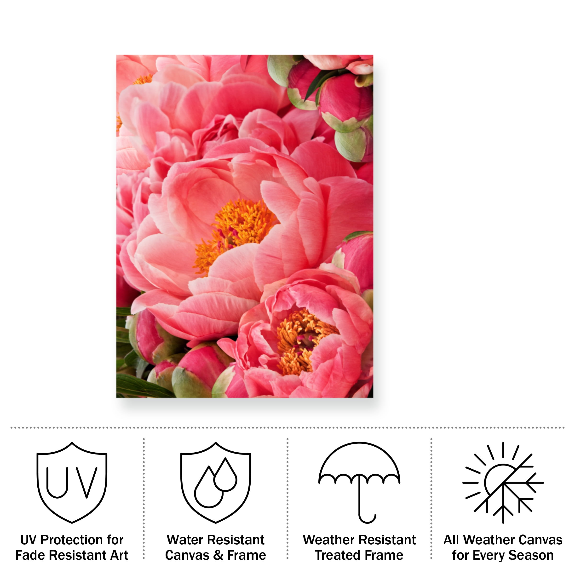 Rachel Perry 'Coral Peonies II' Outdoor Canvas 19x19 - Walmart.com