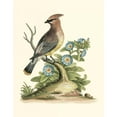 thumbnail image 3 of Edwards, George 12x14 Black Modern Framed Museum Art Print Titled - Poised in Nature III, 3 of 5