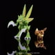 thumbnail image 2 of Paquete de figuras Pokemon Battle Eevee de 2 pulgadas y Scyther de 11 cm, 2 of 3