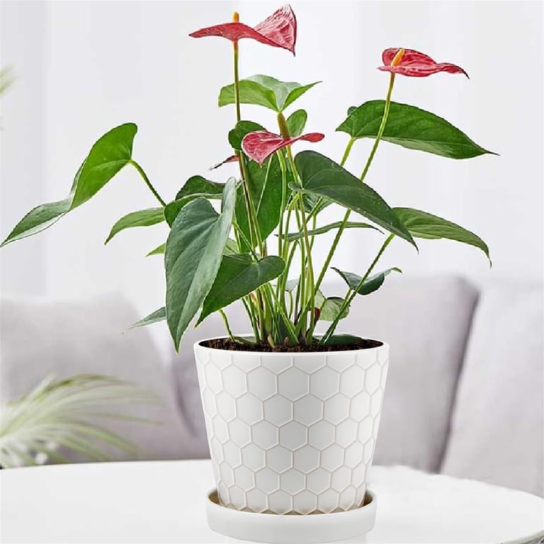 Modern Ceramic Planter Set, 3-Piece with Drainage photo 5