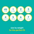 thumbnail image 6 of Pampers Swaddlers Diapers Size 6, 84 Count (Select for More Options), 6 of 15