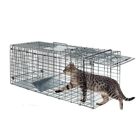 Live Animal Trap 24 x8 x7  Humane Cat Trap Cage for Stray Cats Raccoon Chipmunks Opossum Squirrel Chicken Mole Gopher Rabbits Skunk (1 Pack)