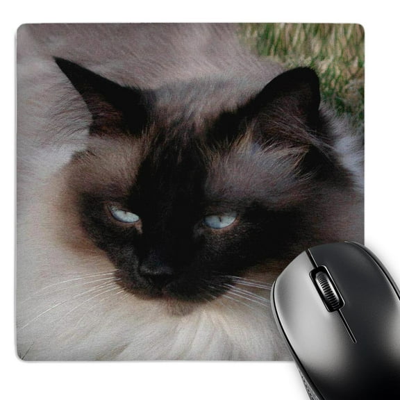 3dRose, Siamese Cat, MousePad