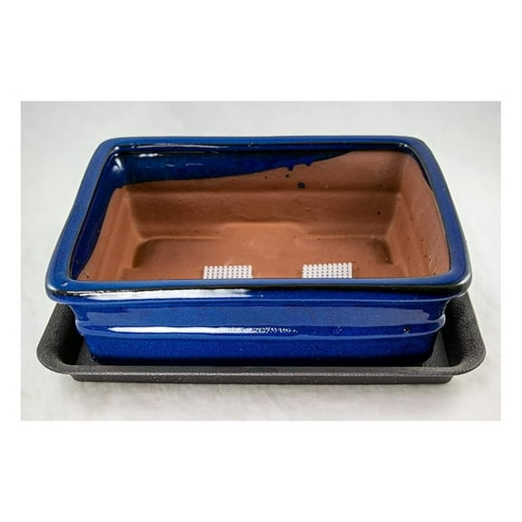 Dark Blue Glazed Rectangular Cactus Pot with Tray & Mesh - 10x8x3.25in Planter