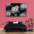 thumbnail image 2 of Cuadro Canvas Pixtreats Galería Rosas en Blanco y Negro 60X90 cm, 2 of 4