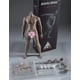 thumbnail image 5 of Figura de acción HiPlay JIAOU Doll, escala 1/6, 30 cm, hombre, 5 of 6