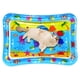 thumbnail image 1 of Almohadilla Inflable para Palmaditas Pez Marino PVC Arrastrándose Almohadilla para Gatos Inducción Juguete Interactivo para Gatos (F) Ballena Cuadrada, 1 of 9