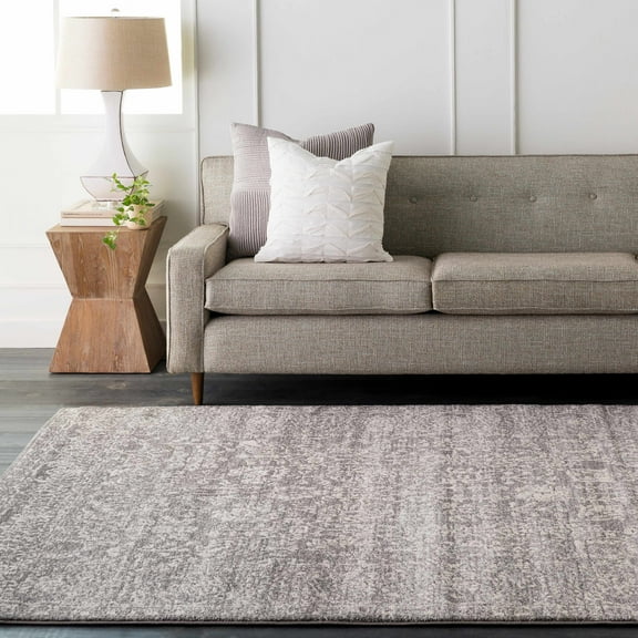 Hauteloom Sigel Living Room, Bedroom Area Rug - Traditional - Charcoal, Medium Gray, Beige - 2' x 2'11"