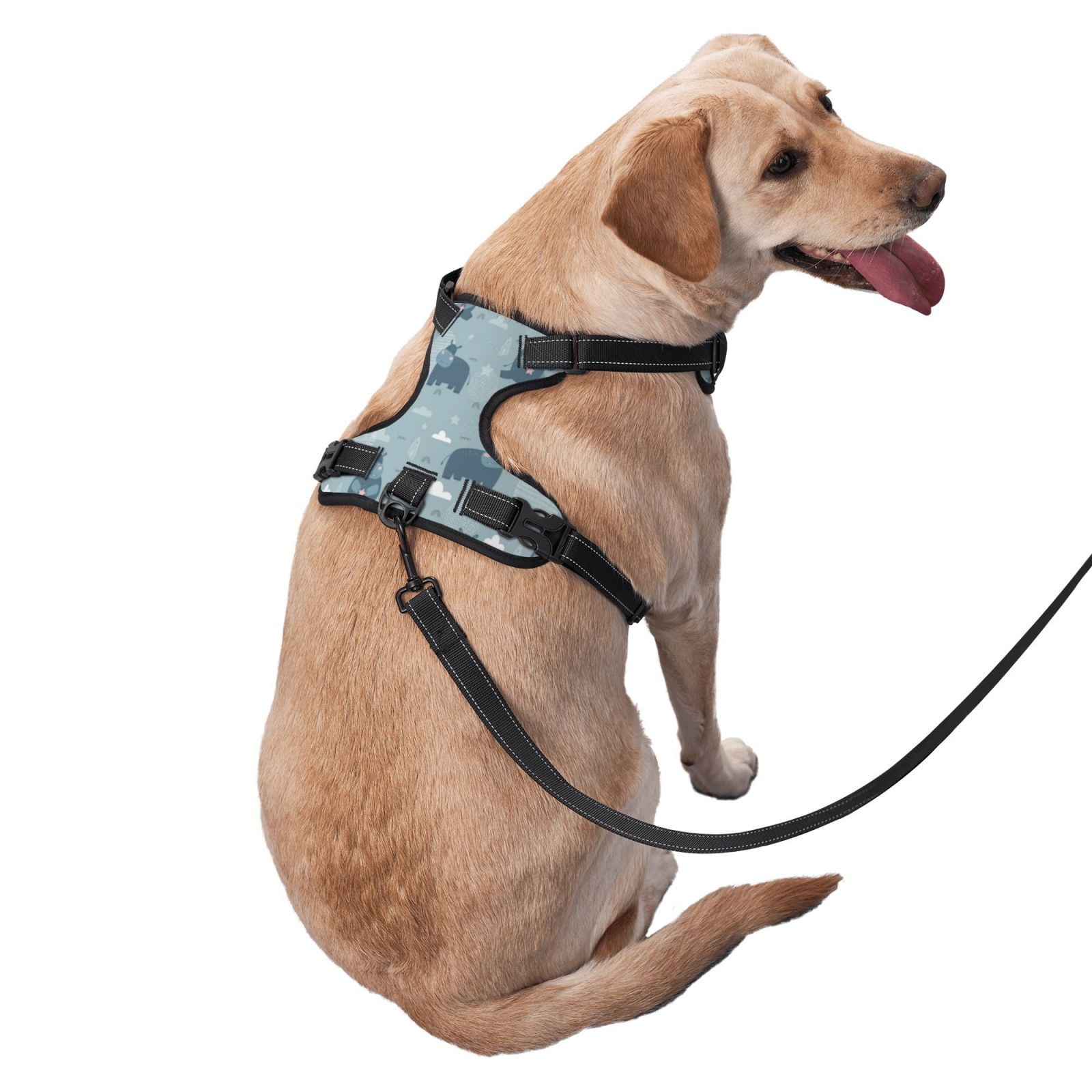 Kdxio Cute Hippopotamus Print No Pull Dog Harness Adjustable Reflective Oxford Easy Control Medium Large Dog Harness for Training and Everyday-X-Large
