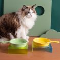 thumbnail image 5 of Nuevo cuenco de comida antidetonante para mascotas, cuenco de arroz con asa para gatos y perros, cuenco para gatos, cuenco para beber, cuenco de cerámica, suministros, 5 of 5