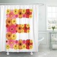 thumbnail image 1 of Cortina de Ducha ABPHQTO Rosa Alfabeto Flores 160x180 cm Gerbera Grande Blanco Rojo, 1 of 1