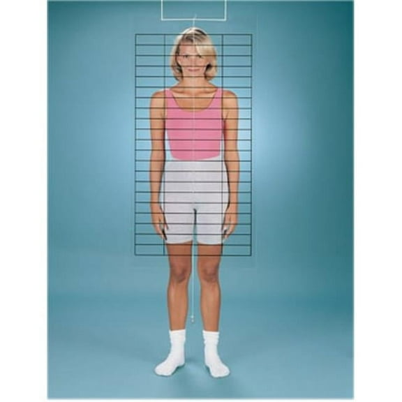 Baseline posture evaluation set (grid and evaluator)