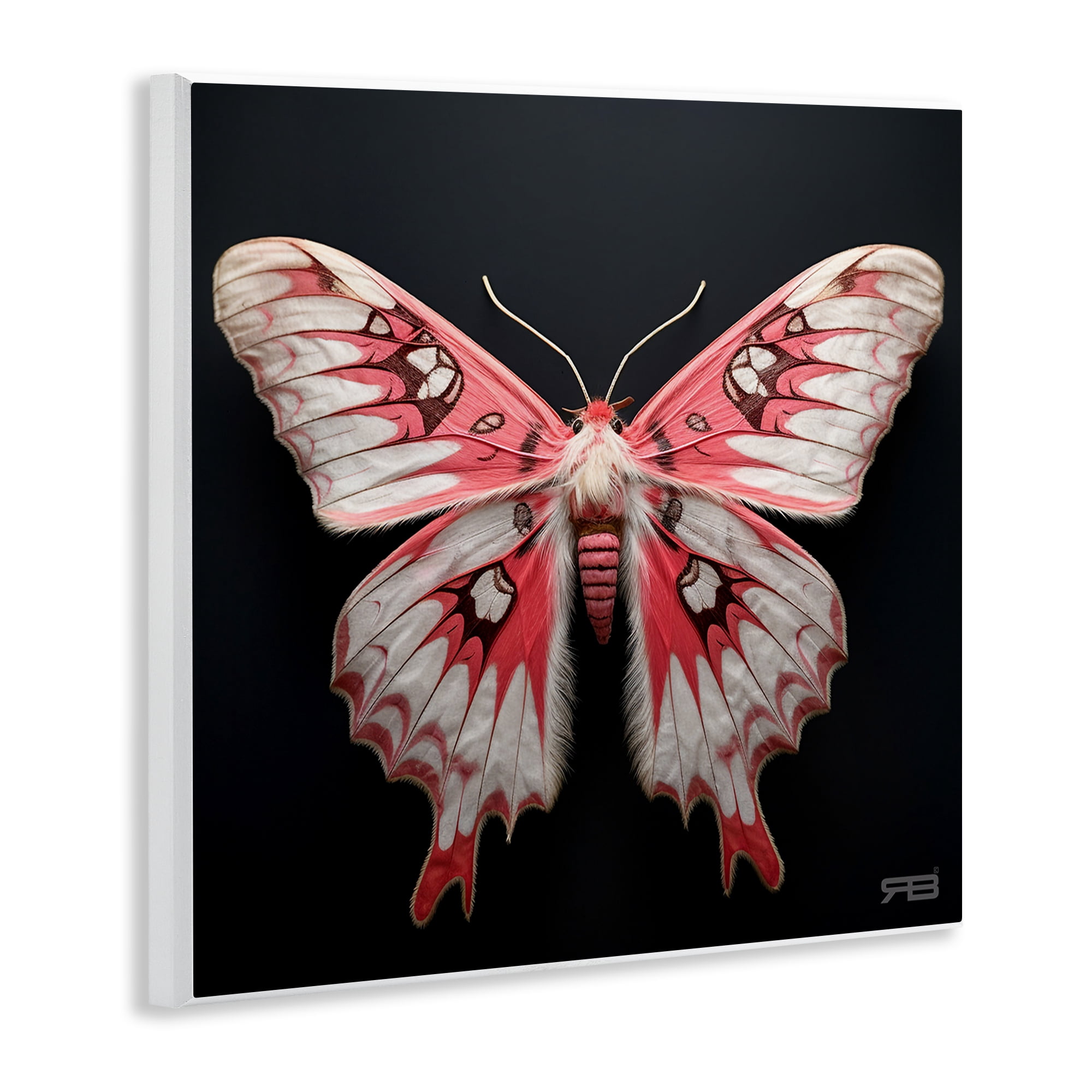 Stupell Industries Red & White Moth Animals & Insects Painting Unframed Art Print Wall Art, 12 x 12