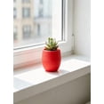 thumbnail image 5 of Mini Colorful Resin Planter Pots, Lightweight Compact Fleshy Plant Containers, Matte Textured Small Plant Vases for Desk Windowsill Indoor Garden Independence Day Greenery Layout Decor, 5 of 6