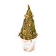 thumbnail image 2 of Fmbmuo Christmas Decor Creative Mini Tree Heart Shaped Desktop Ornament Festive Potted Decor for Desk and Shelf Ornaments,Green, 2 of 5