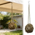 thumbnail image 1 of Creatine Natural Nesting Parrot With For Foraging And Mental Stimulation Interactive Bird Enrichment Activity, 1 of 7