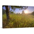 thumbnail image 1 of Great BIG Canvas | "Sunrise On A Dew Covered Grassy Hill, North Of Edmonton, Alberta, Canada" Canvas Wall Art - 36x24, 1 of 2