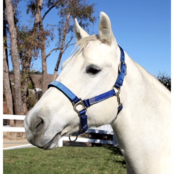 Kensington Premium Nylon Halter