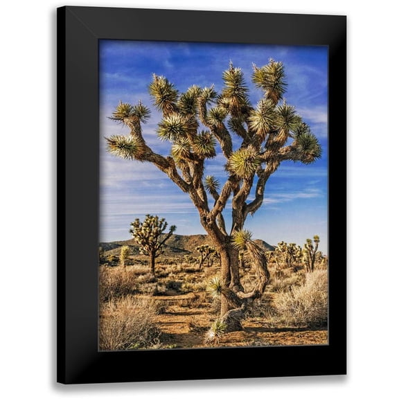 Perry, Rachel 12x14 Black Modern Framed Museum Art Print Titled - Views of Joshua Tree III