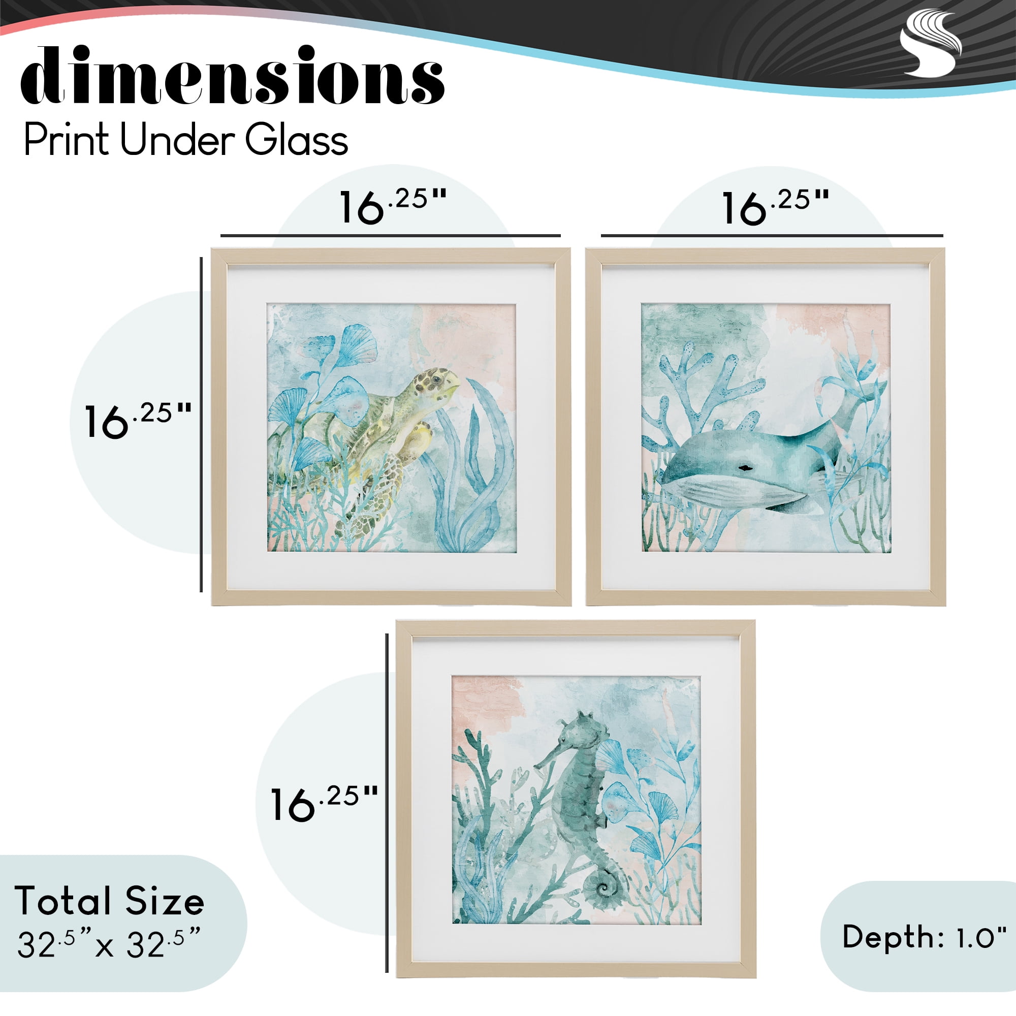Stupell Industries Aquatic Animals Sea Swim 3 Piece Birch Framed Print Under Glass Set, design by Kim Allen