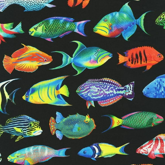 Cotton Coral Canyon Fishes Fish Animals Aquatic Creatures Water Ocean Black Cotton Fabric Print by the Yard (AQCD-19904-2-BLACK)