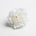 thumbnail image 3 of 20 cabezas de rosas artificiales de seda, rosas de tela, cabezas de flores decorativas crema, 3 of 9