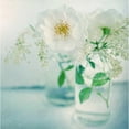 thumbnail image 3 of Gardner, Sarah 15x15 Black Modern Framed Museum Art Print Titled - White Peonies, 3 of 5
