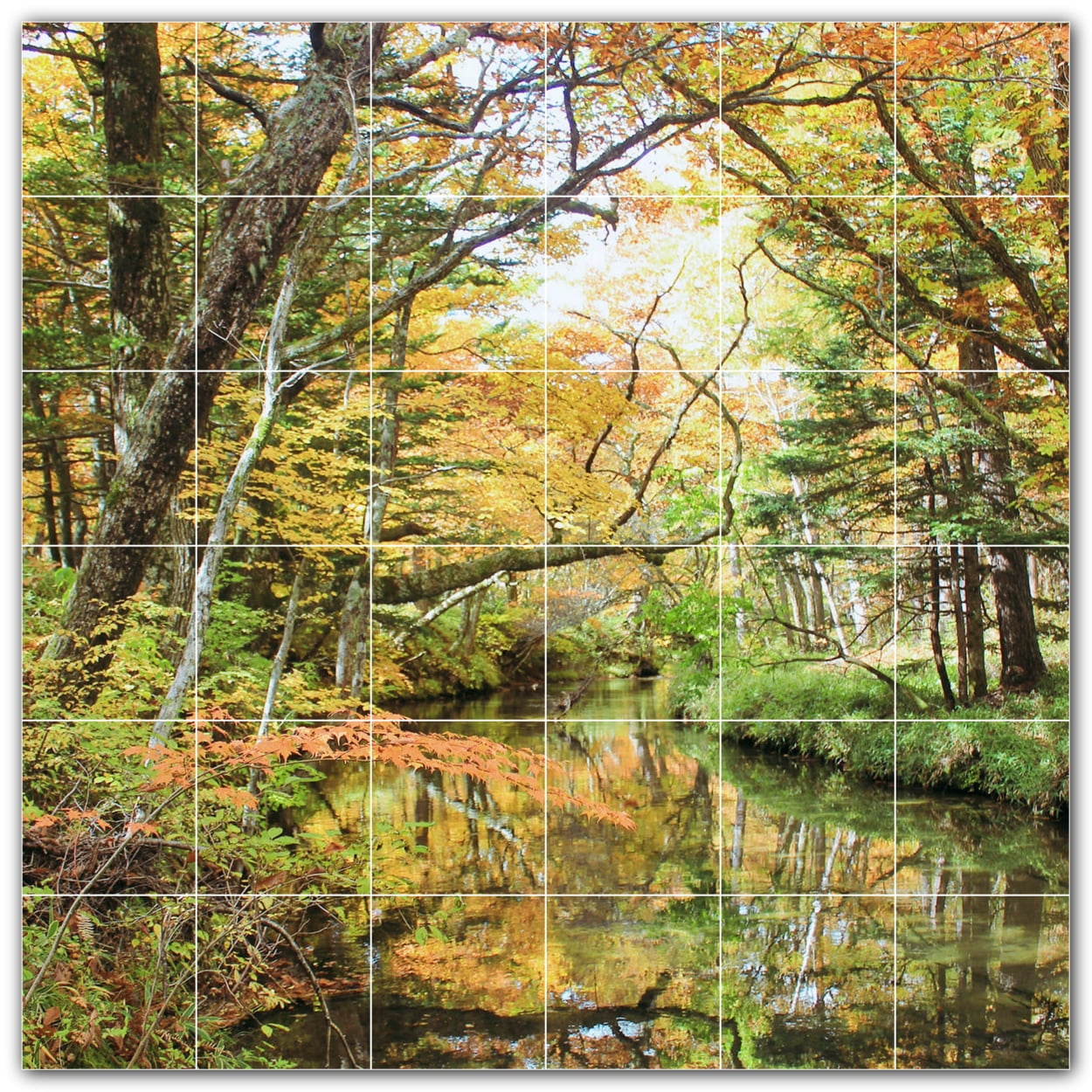 Picture-Tiles.com: Autumn Ceramic Tile Wall Mural WAL500041-66XL. 72