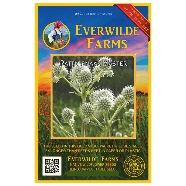 Everwilde Farms 500 Rattlesnake Master Native Wildflower Seeds Gold