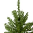 thumbnail image 3 of 12' Northern Pine Full Artificial Christmas Tree - Unlit, 3 of 6