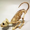thumbnail image 5 of 1 paquete Re esqueleto gato esqueleto torre de Halloween accesorios de decoración, 5 of 5