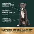 thumbnail image 5 of VetriScience Immunity Health Capsules for Small Dogs, 60 Count, 5 of 11