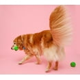 thumbnail image 6 of Hartz Dura Play Bone Dog Toy, Large, Color Will Vary,, 6 of 9