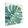 thumbnail image 2 of Trademark Fine Art 'Mixed Greens LXXIII' Canvas Art by Lisa Audit, 2 of 3
