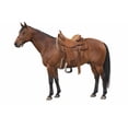 thumbnail image 5 of Challenger 5" Wide Western Black Engraved Aluminum Horse Stirrups 51177, 5 of 5