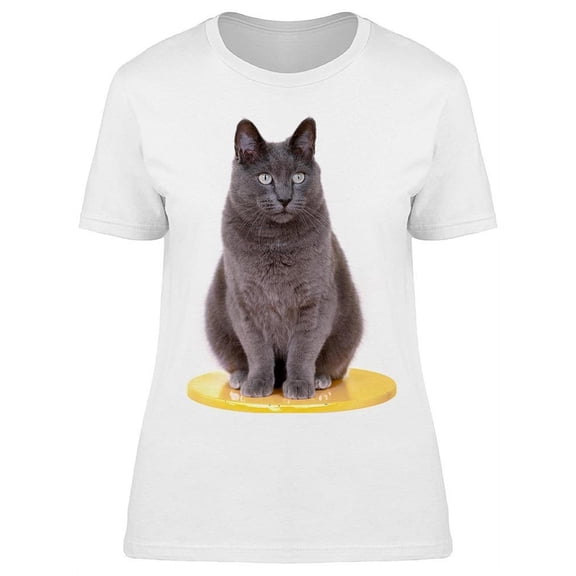 Gray Short Haired Cat Sitting T-Shirt Women -Image by Shutterstock, Female Small