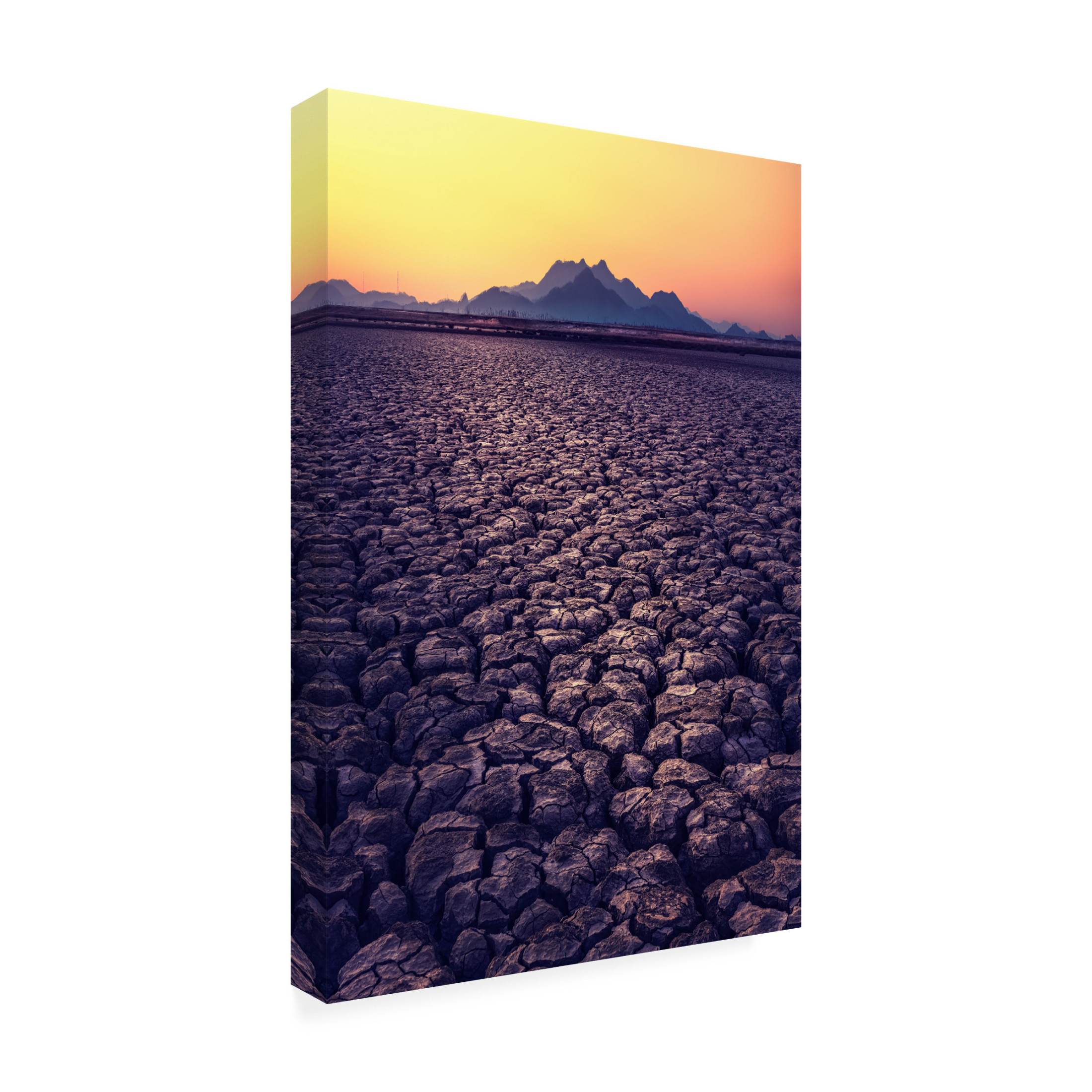 Trademark Fine Art Tiger Seo Thirst Canvas Wall Art
