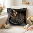 thumbnail image 5 of Rirozkan Spring Cushion Cover, Easter Pet Pattern Throw Pillow Cover, 18 Inch Square Decorative Pillow Case for Sofa Couch, Plush Imitation Embroidery Home Decor for Living Room Bedroom, 5 of 6