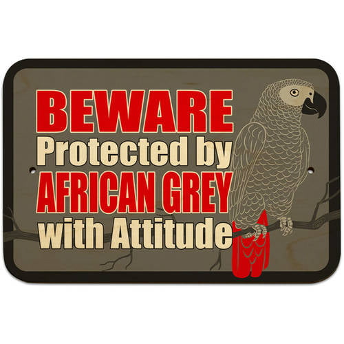Beware Protected by African Grey with Attitude 9 x 6 Metal Sign